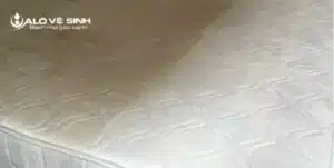 Hiệu quả giặt nệm Gò Vấp tại Alo Vệ Sinh
