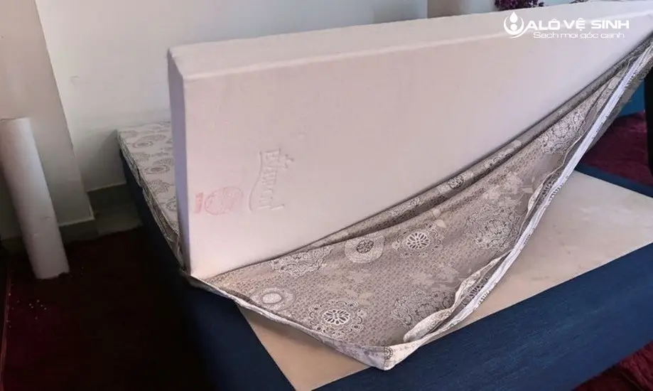 Các size nệm cuscino đều phù hợp với mọi không gian