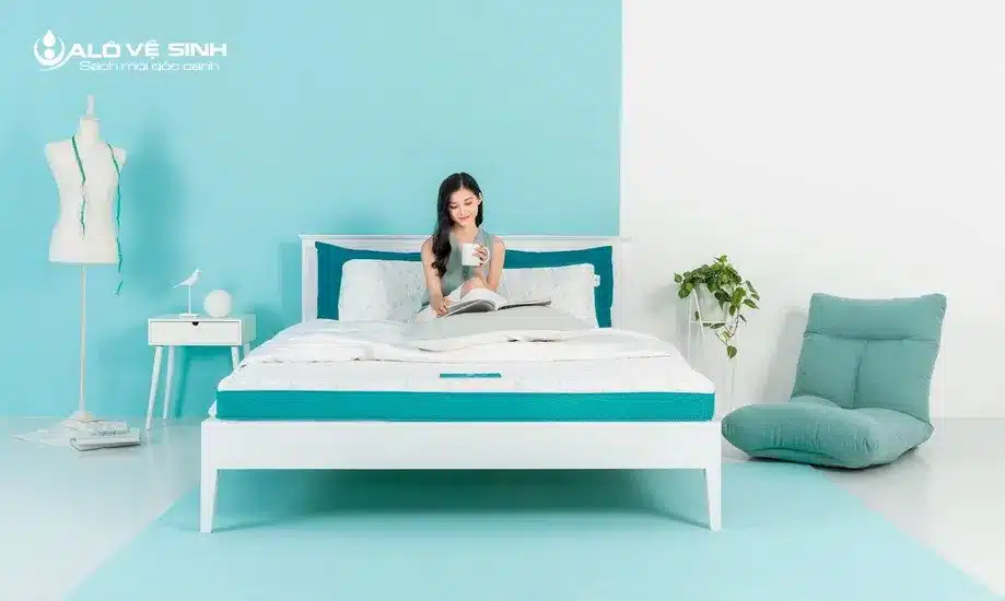 Các thương hiệu nệm nổi tiếng trên thị trường Việt Nam