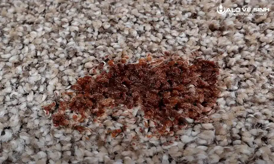 Hướng Dẫn Cách Chữa Thảm Bị Cháy Hiệu Quả Cách chữa thảm bị cháy một mảng nhỏ