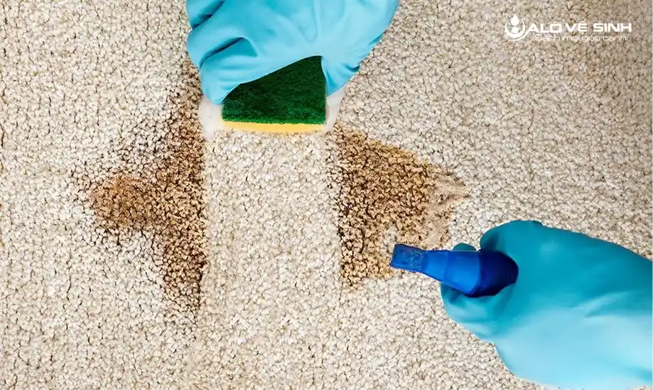 Cách giặt thảm phòng khách bằng nước ấm và xà phòng