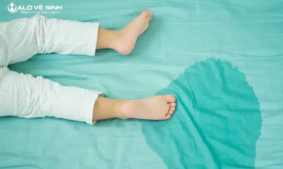 Cách làm khô nệm do em bé đái hoặc nước tiểu thú cưng