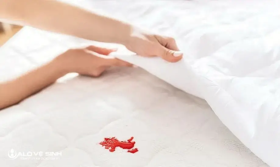 Tầm quan trọng của việc làm sạch vết máu ghế sofa vải.