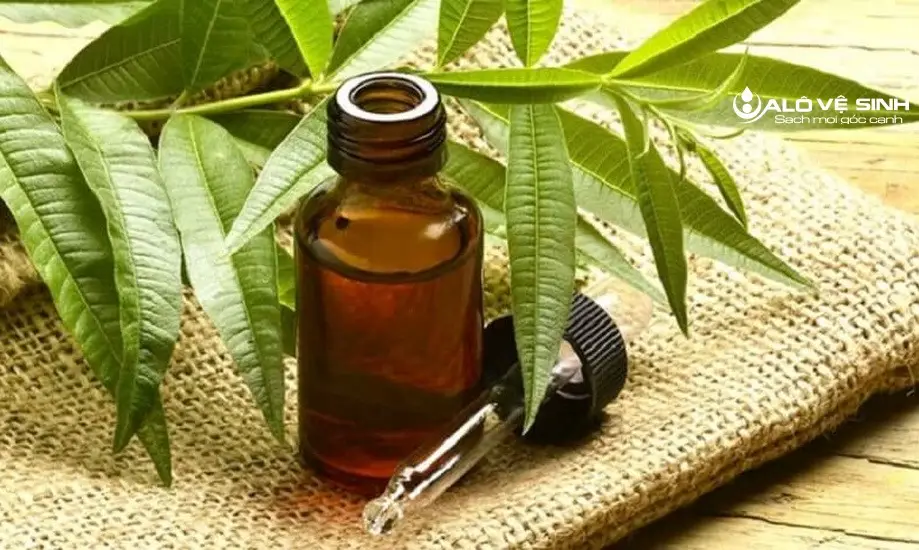 Làm thơm phòng bằng tinh dầu