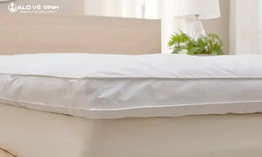 Nệm Lông Vũ Là Gì? Ưu Điểm Và Cấu Tạo Của Nệm Lông Vũ Cấu tạo nệm lông vũ luôn gồm 3 bộ phận