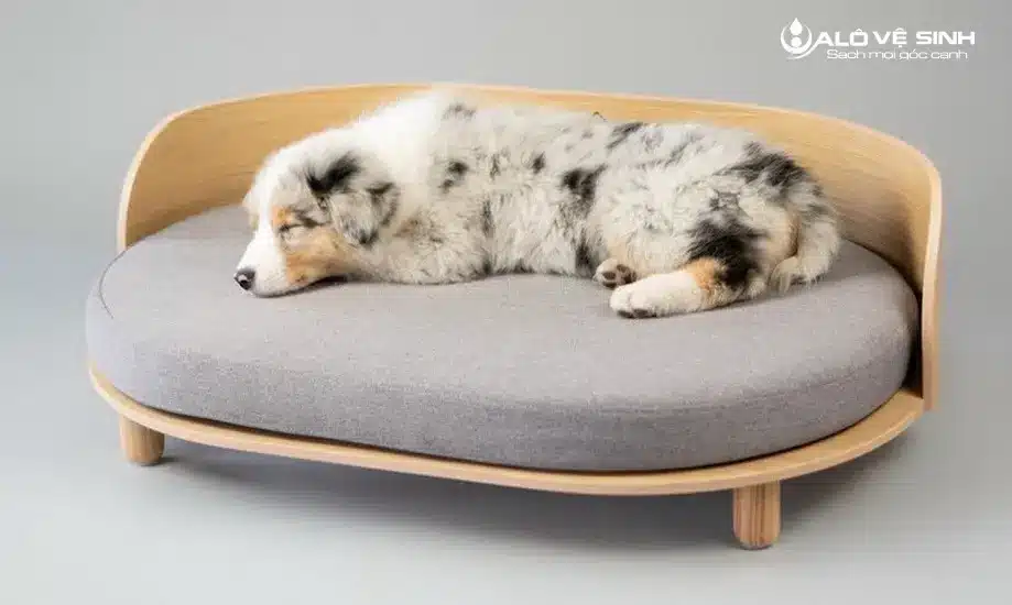 Chọn nệm cho chó loại nào tốt nhất?