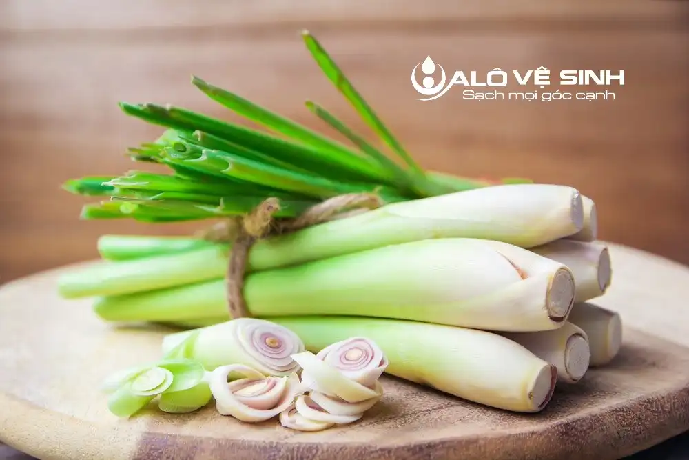 Củ sả đánh bay hiệu quả mùi hôi trên nệm