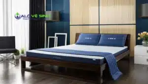 Nệm Kymdan và nệm Liên Á đều có thiết kế bề mặt là các lỗ thông hơi thoáng khí