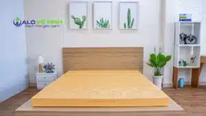 Bật mí top 3 dịch vụ giặt nệm cao su uy tín tại TPHCM