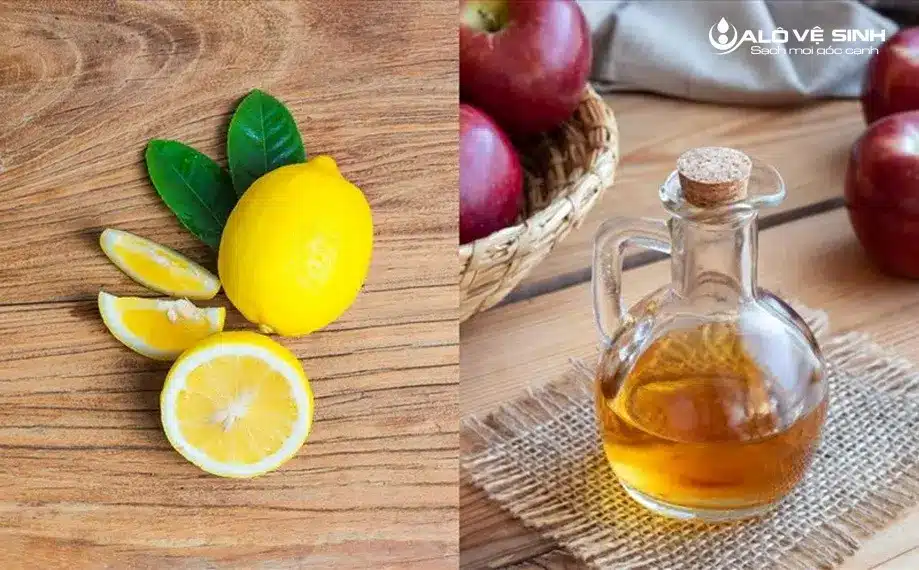 Cách Xử Lý Nệm Bị Mốc Với 3 Hướng Dẫn Dễ Làm Dùng giấm hoặc chanh để xử lý nệm mốc hiệu quả