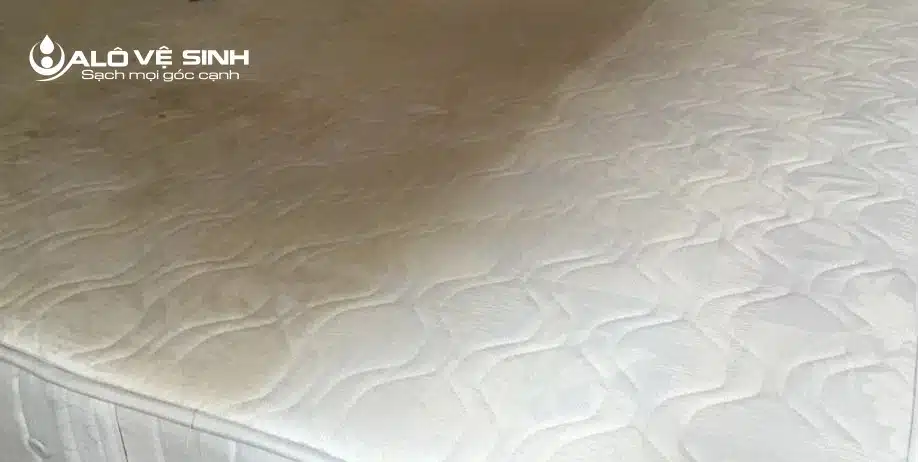 Dịch vụ giặt nệm tại nhà Cần Giờ - Alo Vệ Sinh