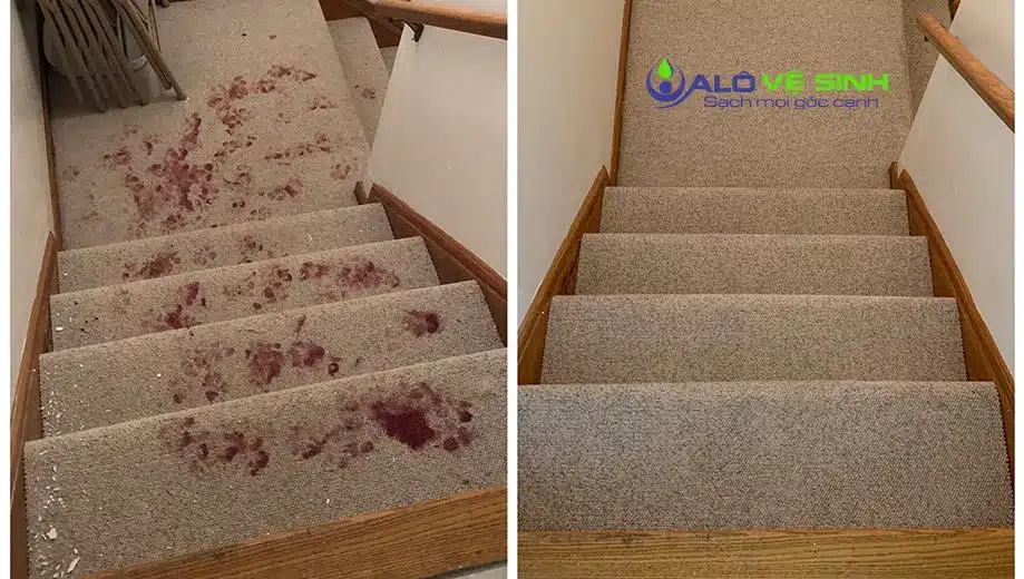 Dịch Vụ Giặt Thảm - 30 Phút Có Mặt & Giá Tốt TPHCM Alo Vệ Sinh Giặt thảm bằng hơi nước nóng cải thiện hầu hết các vết bẩn trên thảm.