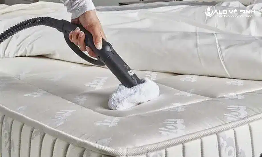 Chú ý hút bụi sạch sẽ các mảnh vụn, bụi bẩn, tóc trên nệm