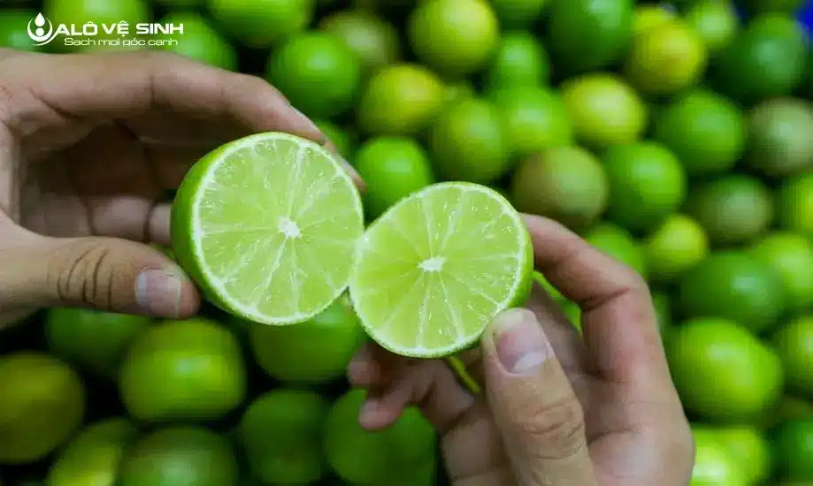 Cách Làm Sạch Dấu Nồi Bị Cháy Khét Nhanh Chóng Làm sạch các vết cháy khét bằng chanh tươi