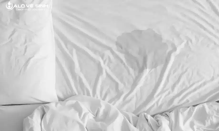 Làm sạch nệm bị nôn ói trước khi nệm bị nấm mốc