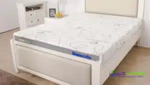 Lựa chọn loại nệm và chất liệu nệm phù hợp với nhu cầu của bản thân