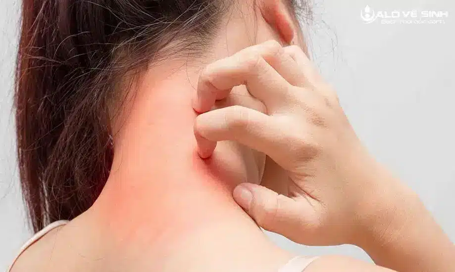 Mạt bụi trên nệm dễ gây ngứa ngáy, khó chịu