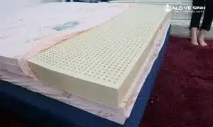 Một số thông tin về nệm Thắng Lợi