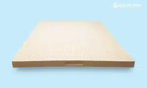 Nệm cao su Thuần Việt có tốt không? - Kiểu dáng nệm cao su Thuần Việt mẫu mã đa dạng