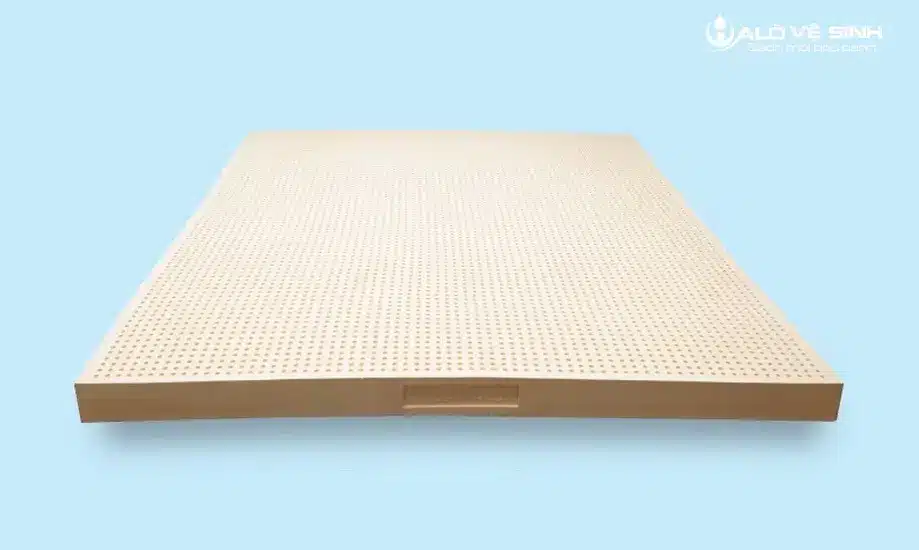 Nệm cao su Thuần Việt có tốt không? - Kiểu dáng nệm cao su Thuần Việt mẫu mã đa dạng