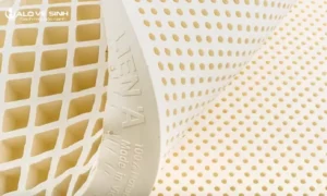 Nệm Liên Á là một thương hiệu uy tín hơn 20 năm trên thị trường