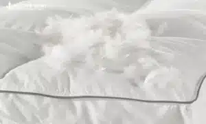 Nệm lông vũ sở hữu hình dạng đặc trưng vốn có