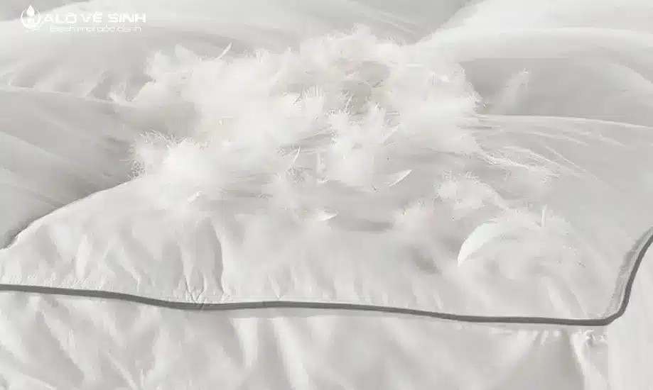 Nệm Lông Vũ Là Gì? Ưu Điểm Và Cấu Tạo Của Nệm Lông Vũ Nệm lông vũ sở hữu hình dạng đặc trưng vốn có