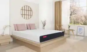 Nệm Nhật Bản có tốt không - Vấn đề được nhiều người quan tâm đến