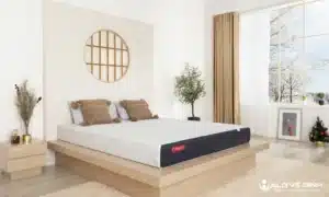 Nệm Queen Size có kích thước vừa đủ cho khoảng 2 người nằm