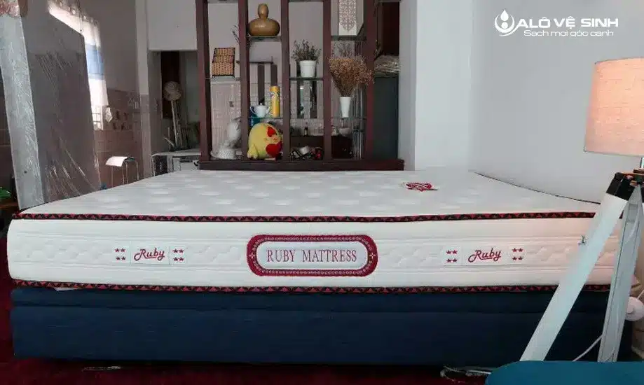 Nệm ruby là thương hiệu nệm nổi tiếng bởi vẻ đẹp và chất lượng