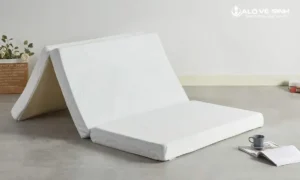 So sánh nệm PE và nệm bông ép được cấu tạo từ các hạt nhựa nhân tạo với kích siêu nhỏ