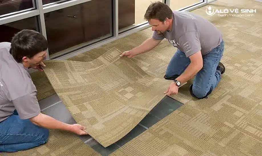 Cách Khắc Phục Tình Trạng Thảm Trải Sàn Sợi Nilong Bị Nhăn Thảm trải sàn sợi nilong bị nhăn do đặt sai vị trí