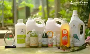 Thông tắc bồn cầu đơn giản bằng nước rửa chén hiệu quả