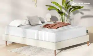 Thương hiệu nệm Wean nổi tiếng với nhiều mặt hàng chất lượng