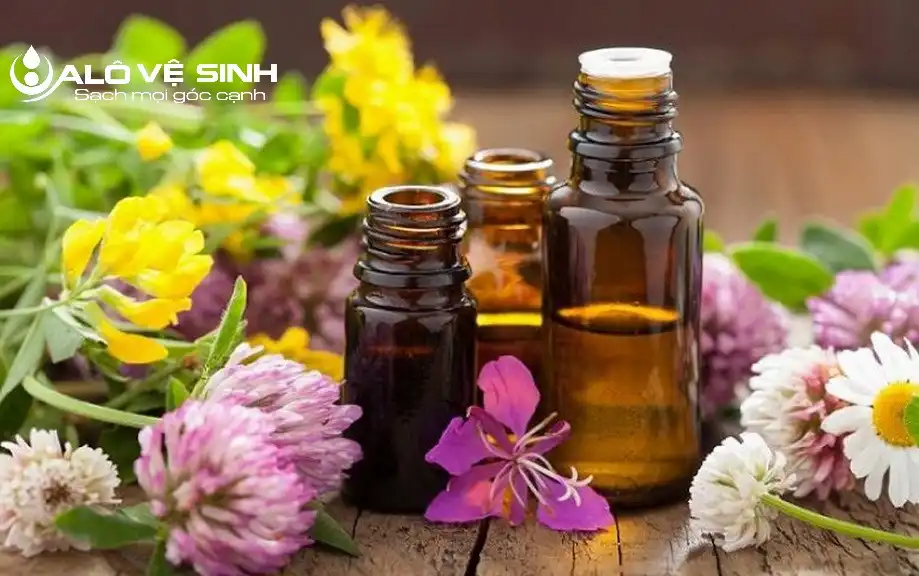 Tinh dầu thơm có khả năng xử lý mùi khai cũng rất hiệu quả