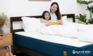 Vệ sinh nệm bông ép sạch sẽ giúp bảo vệ sức khỏe