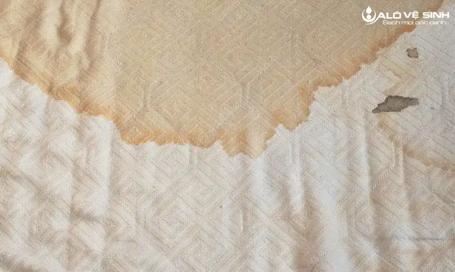 Vết nôn, vết nước tiểu lâu ngày không được vệ sinh