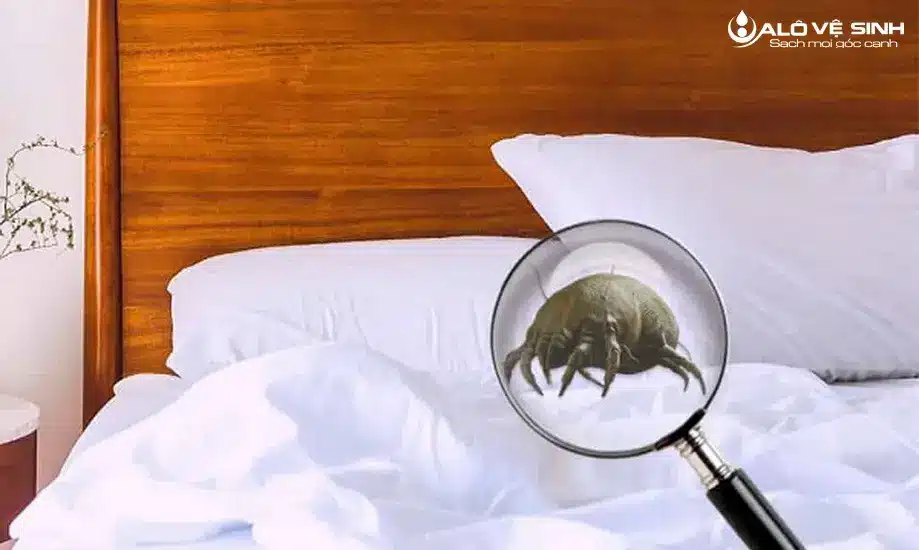 Mách Bạn 6 Cách Khử Mùi Nệm Cũ Đơn Giản Và Cực Hiệu Quả Cách khử mùi nệm cũ do vi khuẩn
