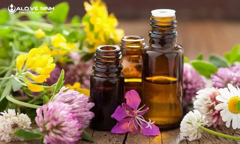 Dùng tinh dầu làm sạch nệm mới mua có mùi hôi