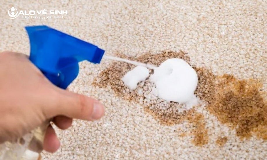 Dịch Vụ Giặt Thảm - 30 Phút Có Mặt & Giá Tốt TPHCM Vết nước sốt cà chua dính trên thảm